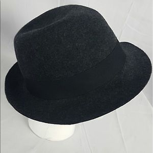 🎩 Aritzia Tulula Wool Hat